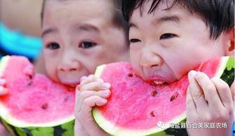 娱乐吃瓜酱新疆,探寻娱乐吃瓜酱的独特风味