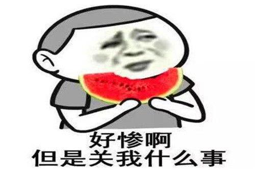 娱乐吃瓜蜀黍广告语怎么写,揭秘娱乐圈幕后故事，带你畅游八卦海洋