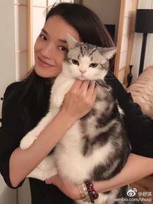 娱乐吃瓜少女喵,揭秘娱乐圈那些不为人知的幕后故事