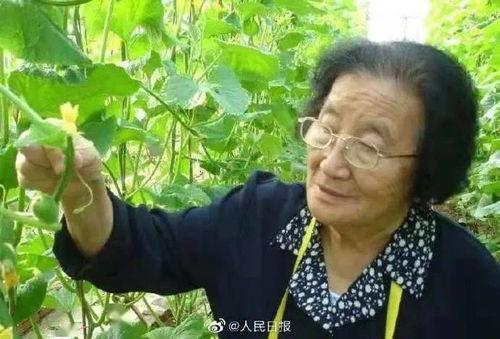 娱乐吃瓜小八哥是谁,网络红人的崛起之路