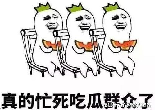 娱乐吃瓜酱防止智力退化,智慧不退——趣味生活，智力提升之道