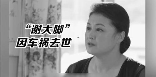 娱乐圈的瓜和我所吃的瓜,明星幕后故事与八卦风云