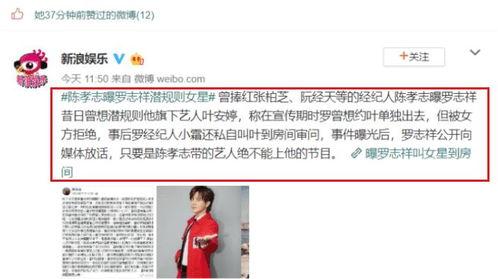 娱乐圈吃瓜大佬小说,揭秘吃瓜大佬的瓜田传奇