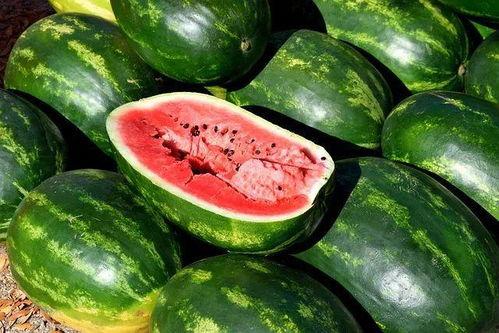 吃瓜娱乐素材视频,揭秘热门娱乐素材视频背后的故事