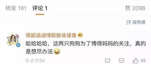 娱乐圈王校长带你吃瓜,王校长带你领略娱乐圈的瓜田盛宴