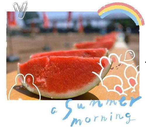 娱乐场所日常吃瓜,揭秘日常吃瓜背后的故事与真相