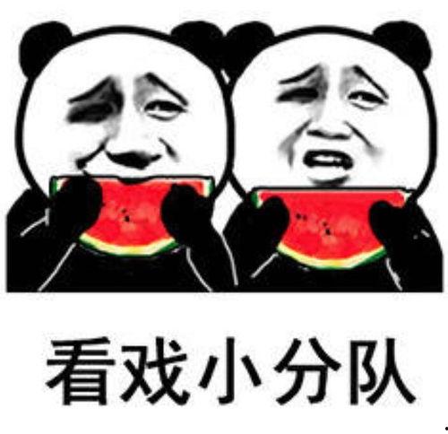 搞笑沙雕吃瓜娱乐图片,搞笑图片带你笑出腹肌