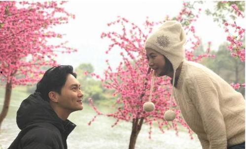 吃瓜心声娱乐圈,揭秘吃瓜心声背后的真实故事