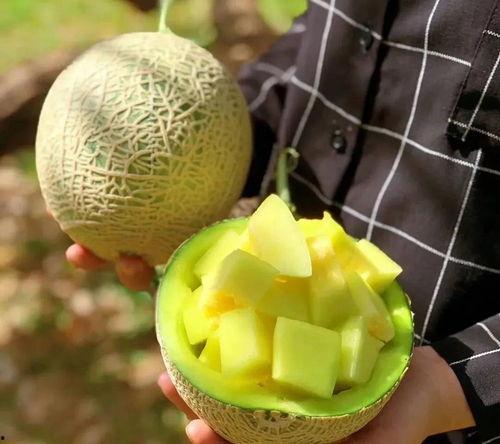 娱乐全吃瓜,全吃瓜，揭秘明星幕后故事