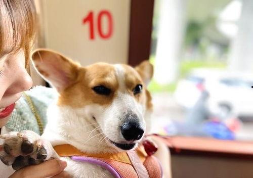 大懒猫娱乐八卦爆料吃瓜,娱乐圈最新八卦大揭秘！