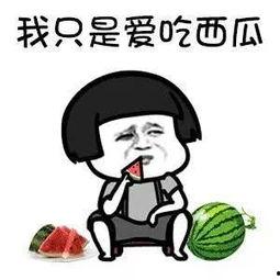 娱乐吃瓜小象是谁啊,网络红人的崛起之路