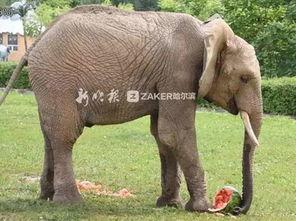 2022娱乐圈吃瓜乱象